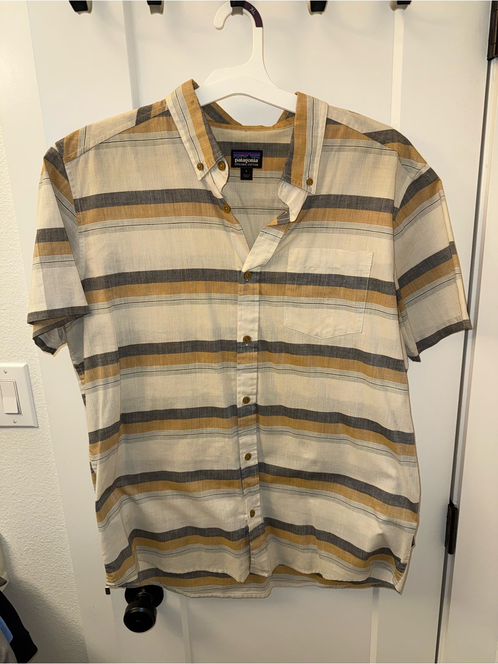 Patagonia Men’s Short-Sleeve Striped Button-Down Shirt